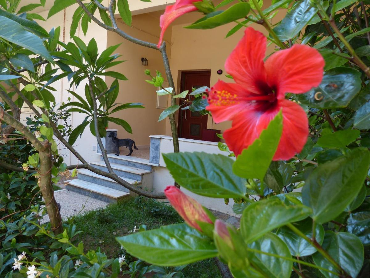 Avgi Garden House Chania With Private Entrance Exterior foto