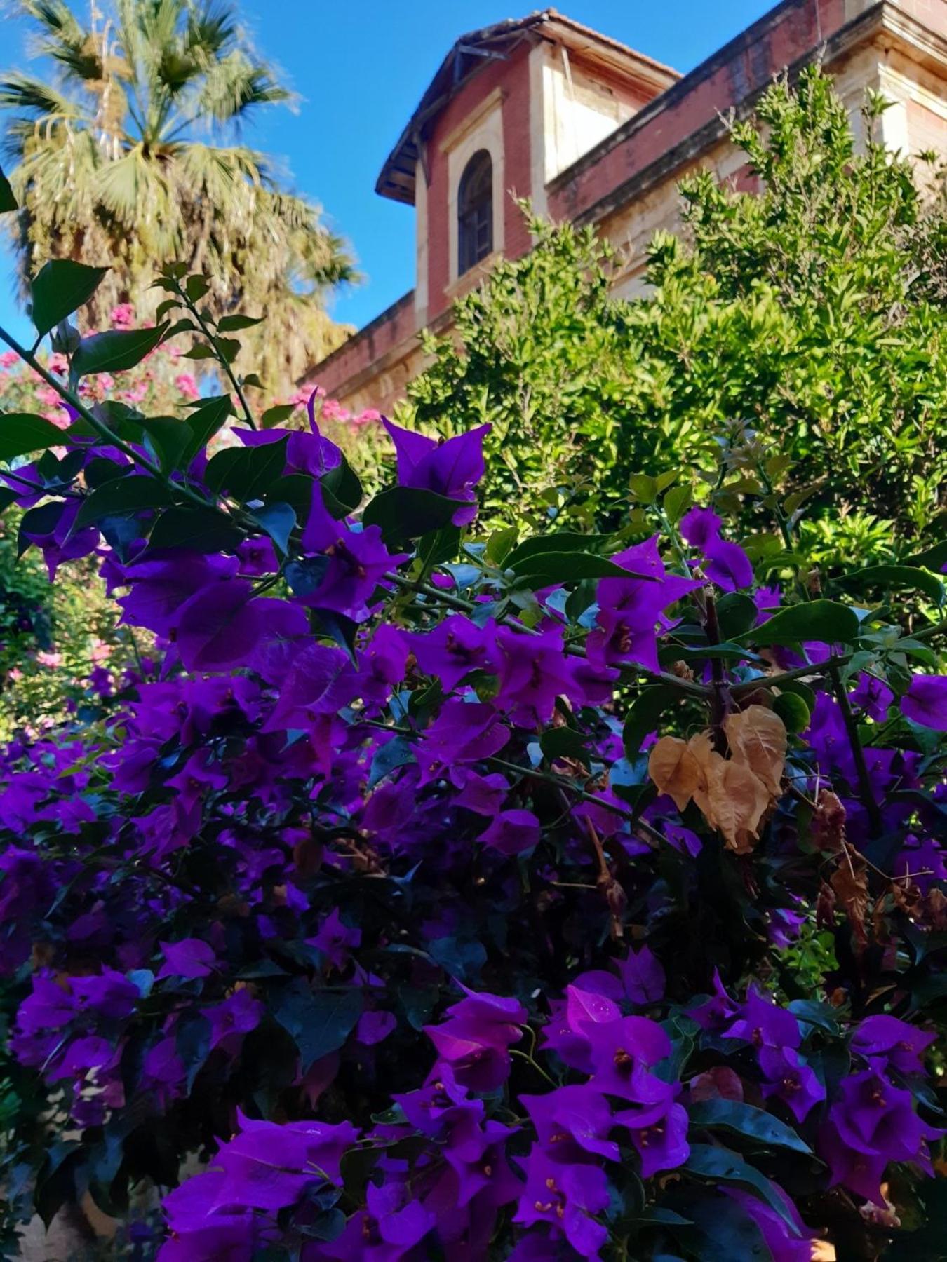 Avgi Garden House Chania With Private Entrance Exterior foto