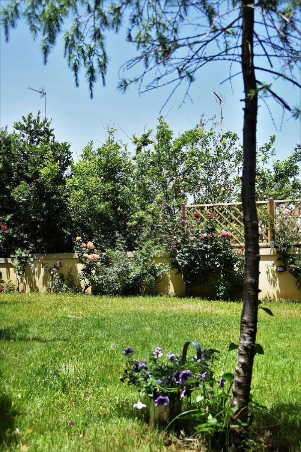Avgi Garden House Chania With Private Entrance Exterior foto